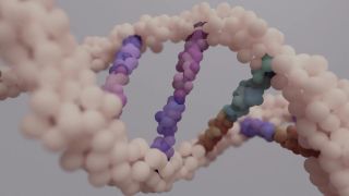 Am Ursprung der Regeneration